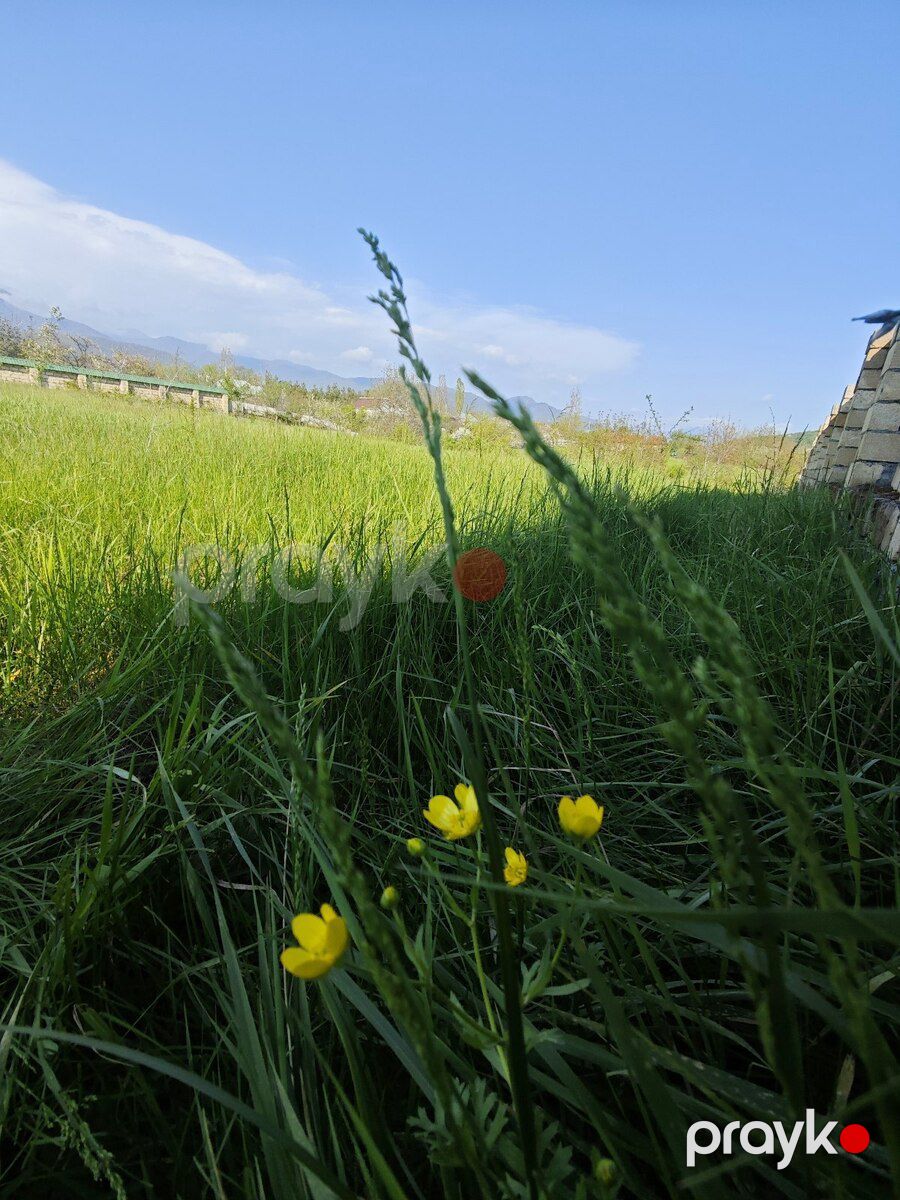 10.5 sot torpaq sahəsi, Qəbələ r — Torpaq, Qəbələ (5)