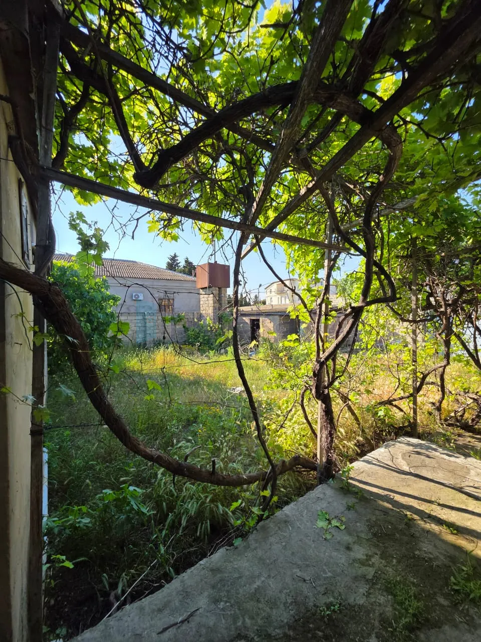 Satılır: Torpaq, Xəzər r., Şüvəlan q., 6.00 m² — Torpaq, Şüvəlan (8)