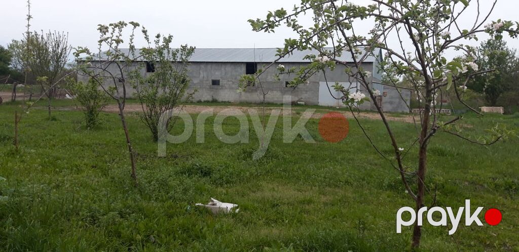 Heyvandarlıq üçün ferma binası - Dəyərindən qat qat az məbləğə — Əmlak, Bakı (8)