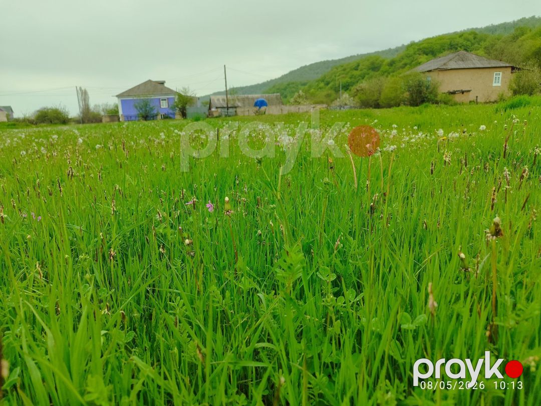 12 sot torpaq sahəsi, Xuray k — Torpaq, Qusar (10)