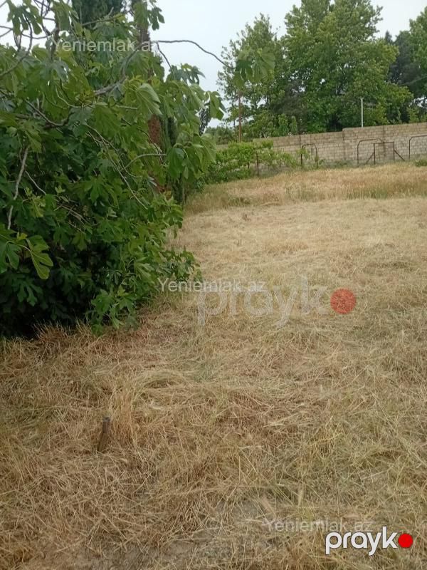 Satılır Torpaq sahəsi, 24 sot, Novxanı — Torpaq, Abşeron (8)