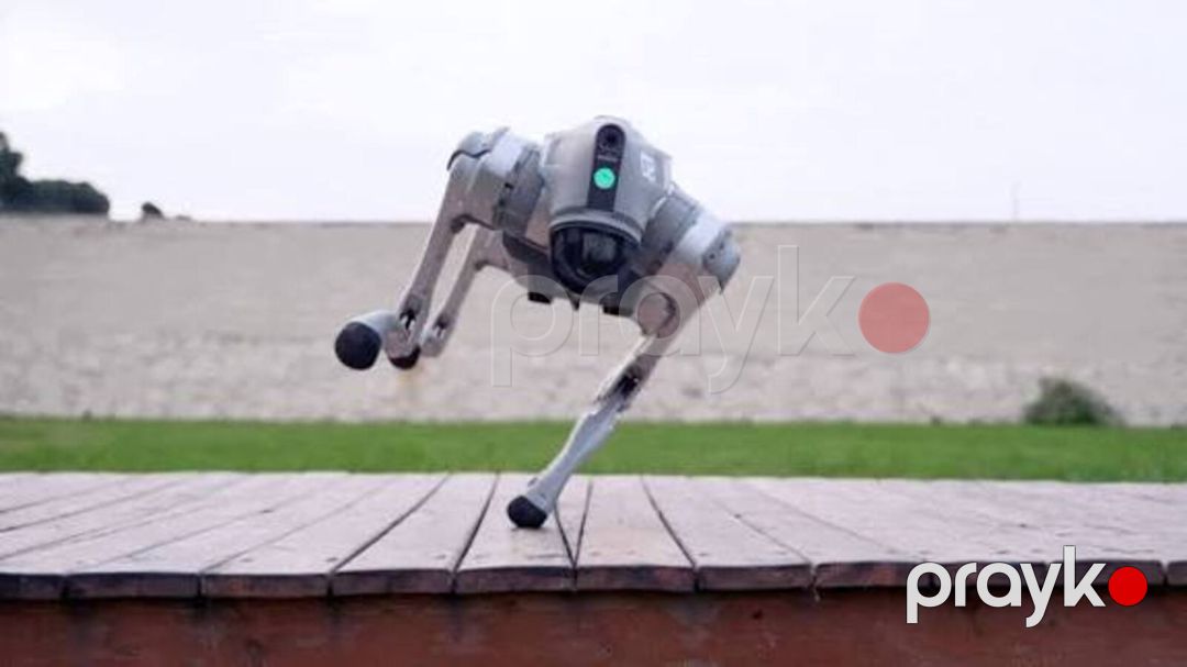 Robot it — Biznes və avadanlıq, Bakı (5)