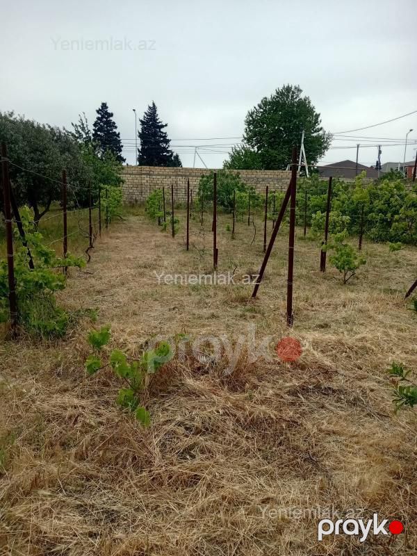 Satılır Torpaq sahəsi, 24 sot, Novxanı — Torpaq, Abşeron (9)