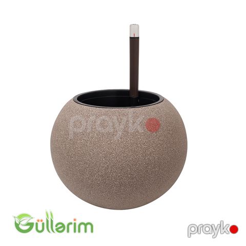 Qəhvəyi Kürəvi Ağıllı Dibçək — Bakı