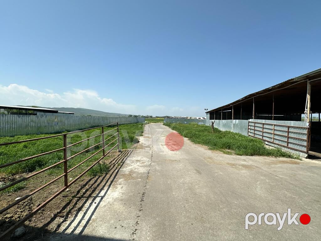 Satılır obyekt 40000 m² — Əmlak, Şabran (12)