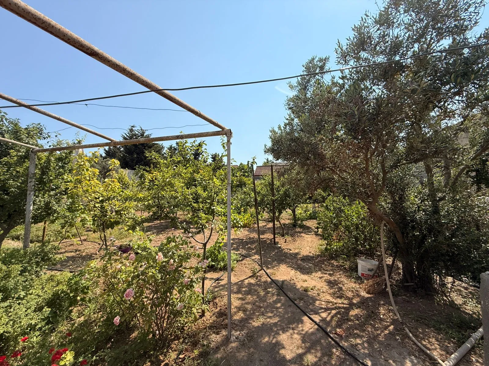 Mərdəkan, Torpaq satılır - 12 sot — Bakı
