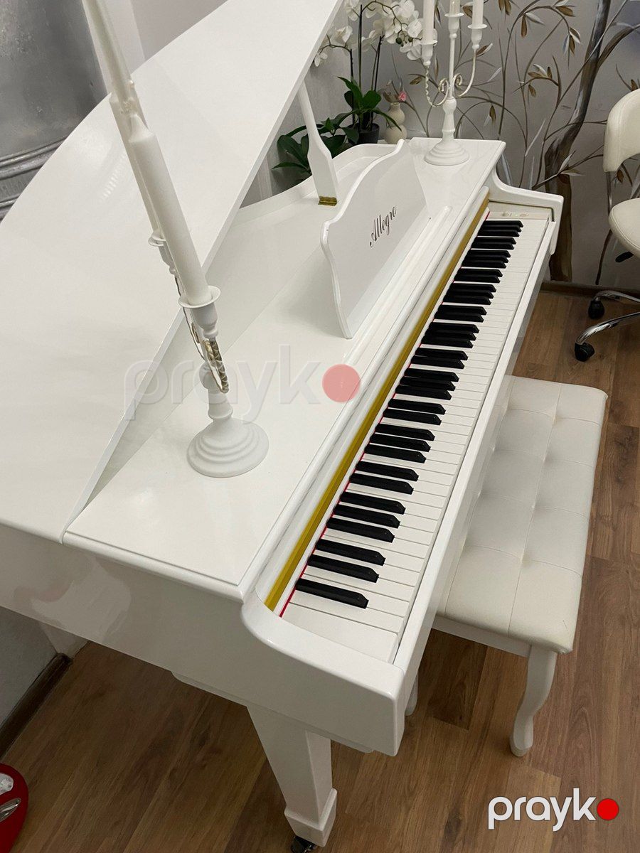 Elektro piano — Musiqiə alətləri, Bakı (2)