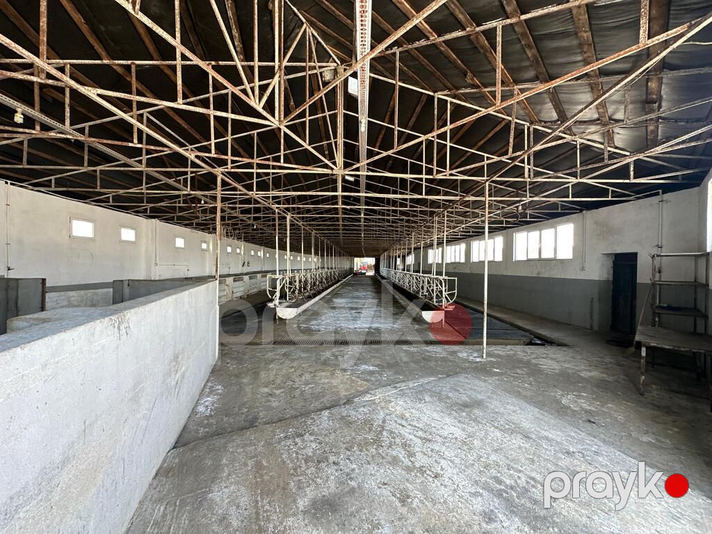 Satılır obyekt 40000 m² — Əmlak, Şabran (2)