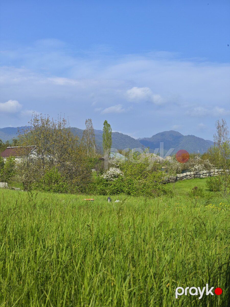 10.5 sot torpaq sahəsi, Qəbələ r — Torpaq, Qəbələ (10)