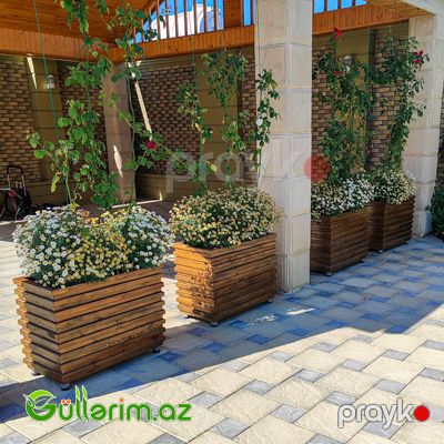 Taxta dibçək (Əl işi) 018 — Bağ dekorasiyası, Bakı (2)