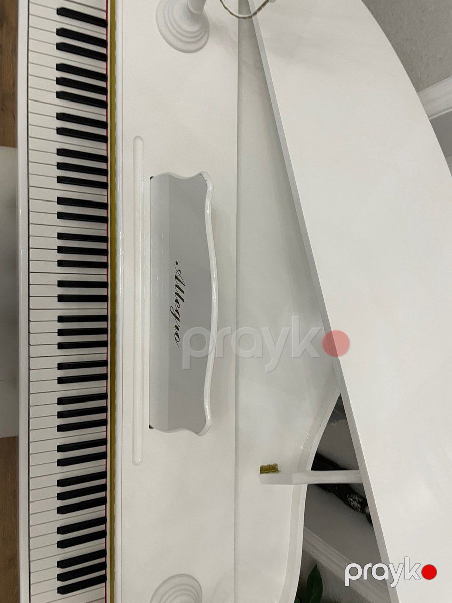Elektro piano — Musiqiə alətləri, Bakı (4)