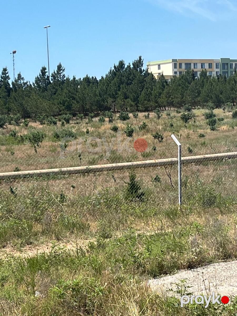 Satılır torpaq 8 sot — Torpaq, Bakı (2)