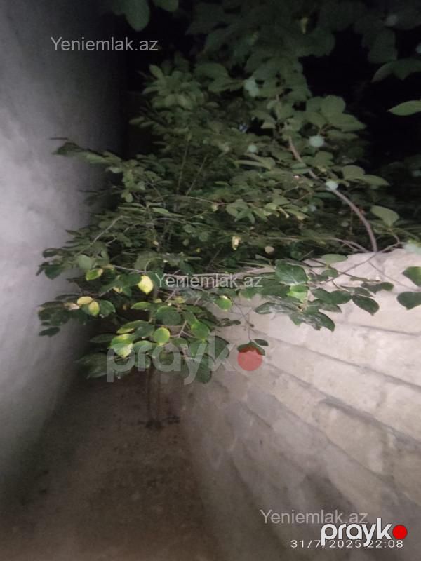 Satılır 3 otaqlı Həyət evi / Villa, 70 m², Kotec qəs — Ev, villa, Sumqayıt (12)