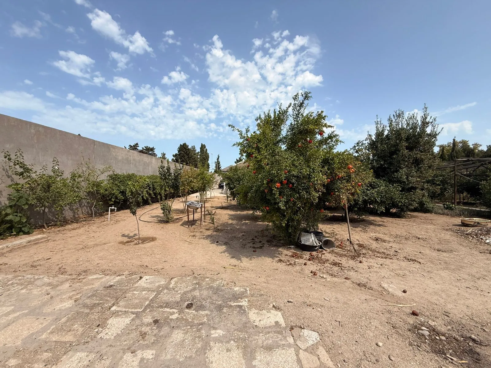 Şüvəlan, Torpaq satılır - 5 sot — Torpaq, Bakı (6)