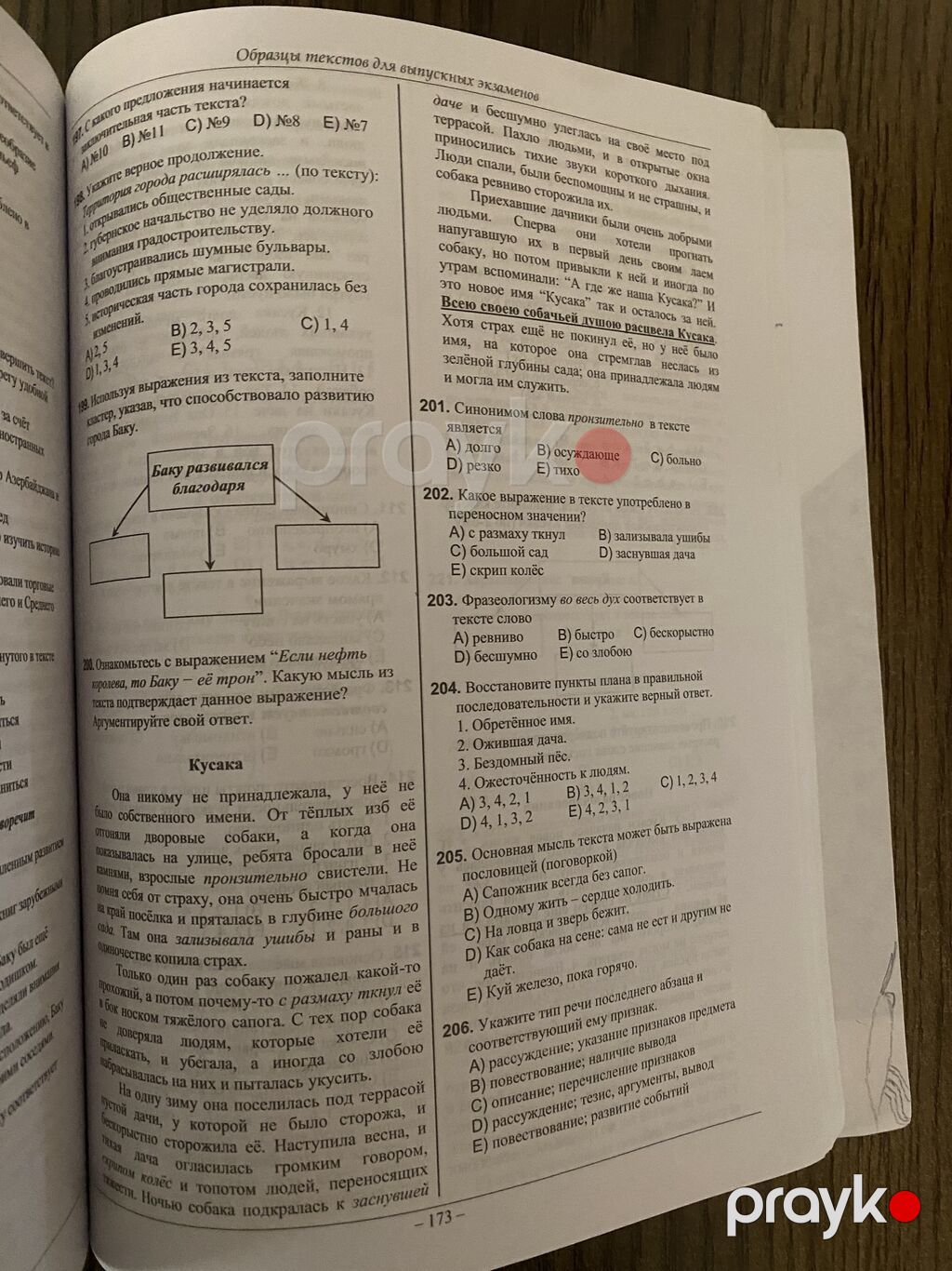 Məhsul: Rus dili – 2025 Test Toplusu (9 illik ümumi orta təhsil — Kitablar, Bakı (5)