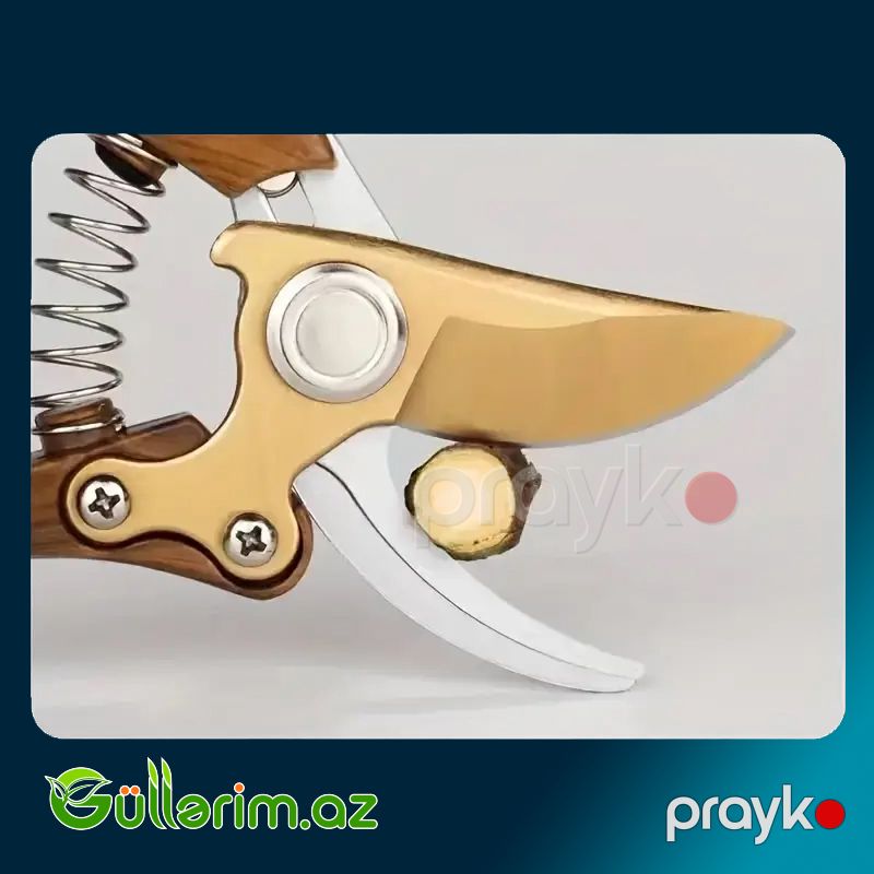 Zafıx Professional Tools Bağ qayçısı) — Bağ aləti, Bakı (3)