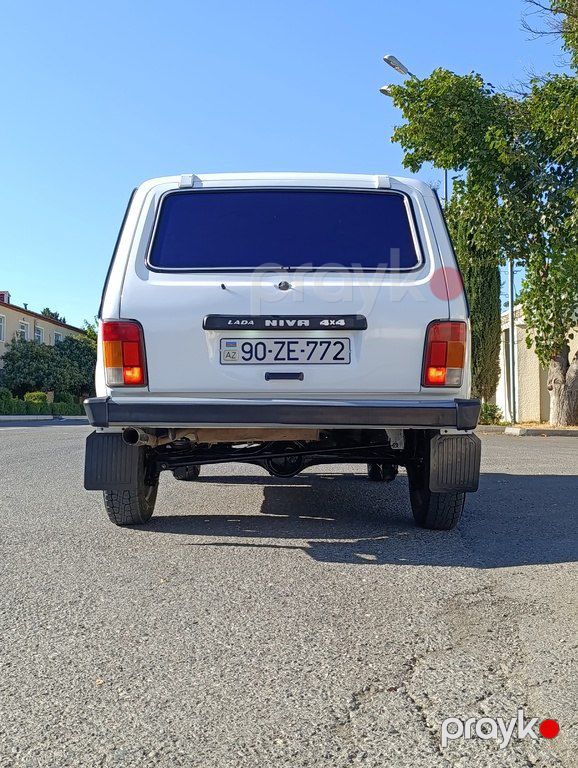 Lada (VAZ) Niva, 1.7 L, 2013 il, 111 000 km — Avtomobillər, Tərtər (5)