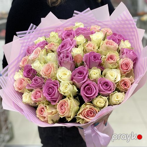 51 qızılgül Çəhrayı və Ağ Qarışıq - kod 5959 — Bitkilər, Bakı (2)