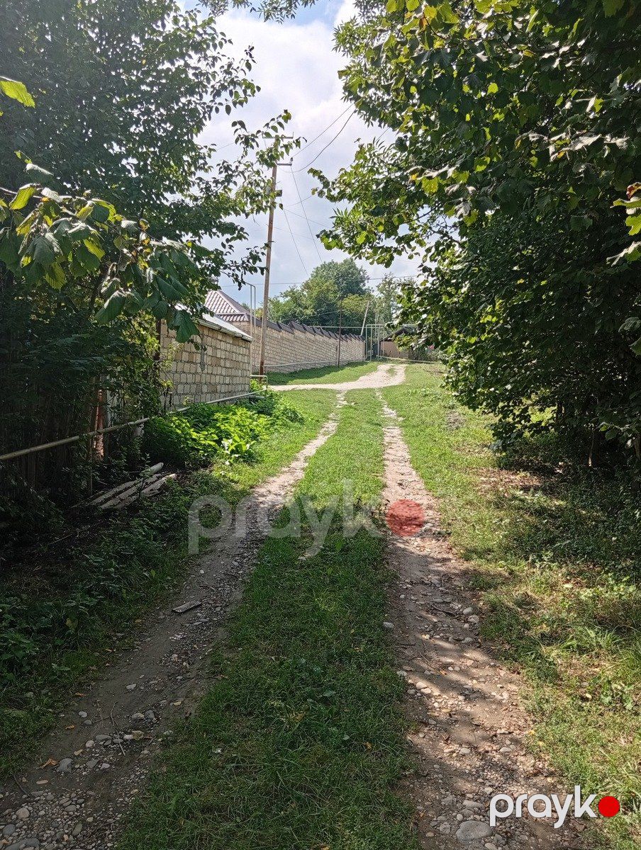 Satılır torpaq 10 sot — Torpaq, Qusar (5)