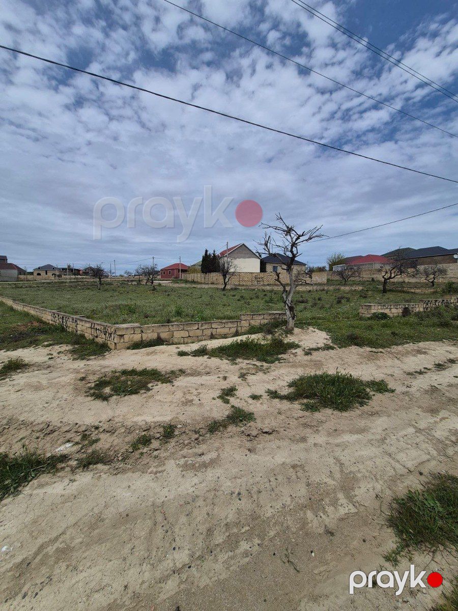 11 sot torpaq sahəsi, Saray qəs — Torpaq, Bakı (3)