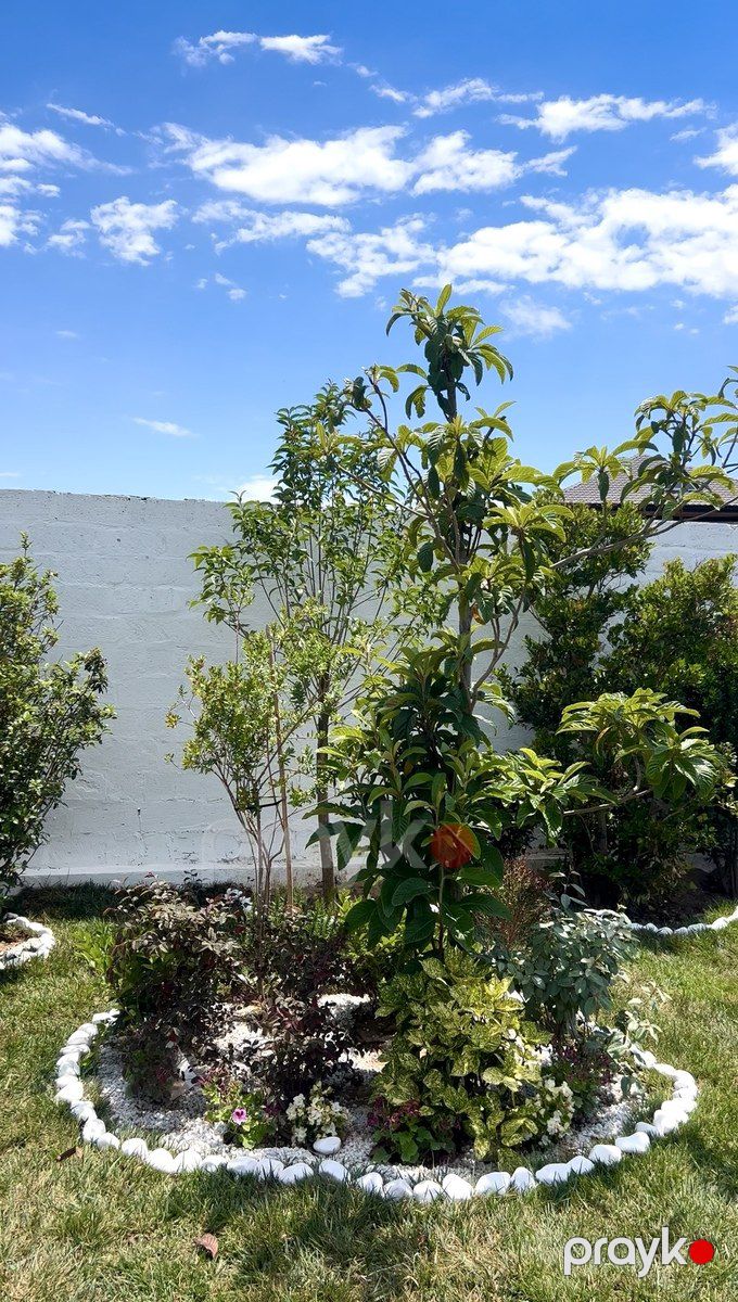 Satılır 3 otaqlı həyət evi/bağ evi 120 m² — Ev, villa, Bakı (8)