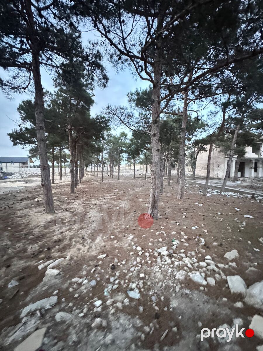 Satılır torpaq 144 sot — Torpaq, Bakı (8)