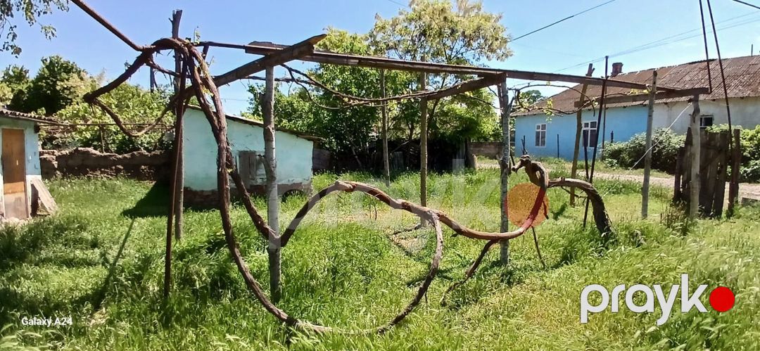 7 sot torpaq sahəsi, Xudat ş — Torpaq, Xudat (11)