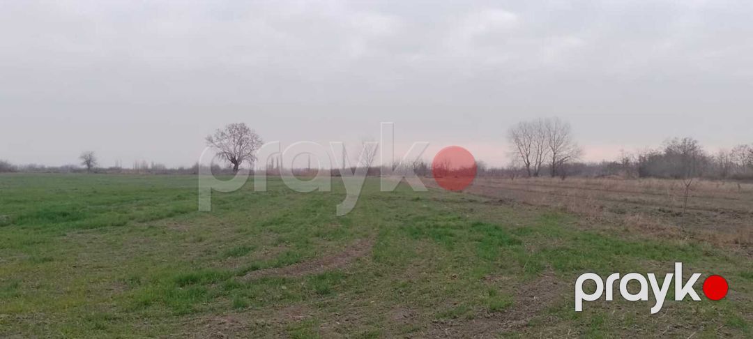 Satılır torpaq 440 sot — Torpaq, Xaçmaz (11)