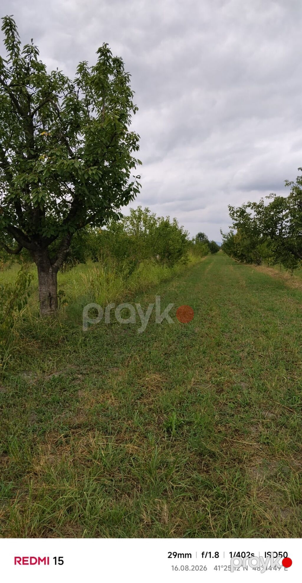 Kənd təsərrüfatı, Kommunal xətlər qoşulmayıb — Torpaq, Xaçmaz (4)