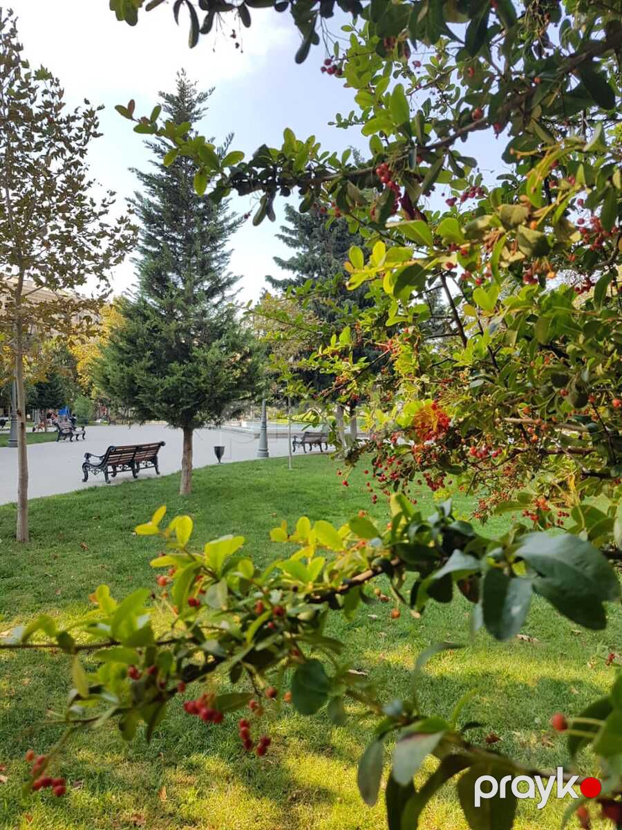 Satılır 3 otaqlı yeni tikili 144 m² — Mənzil, Bakı (3)