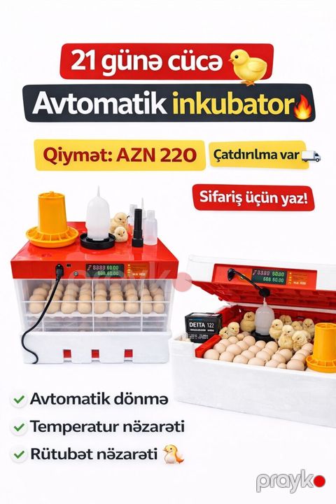 İnkubatorlar — Bakı