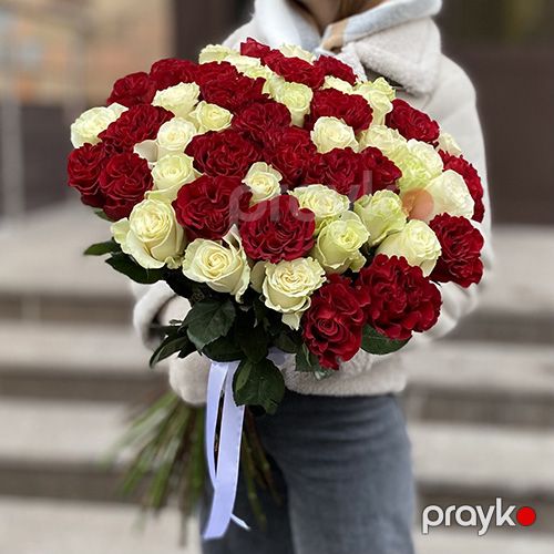 51 ağ və qırmızı qızılgül - kod 5353 — Bitkilər, Bakı (3)