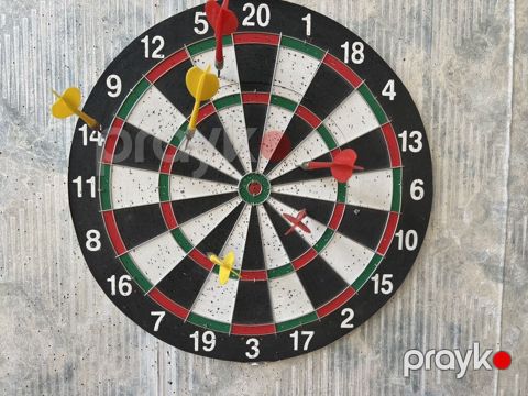 Dart taxtası və oxlar dəsti - Standart ölçülü, dairəvi dart taxtası — Xırdalan