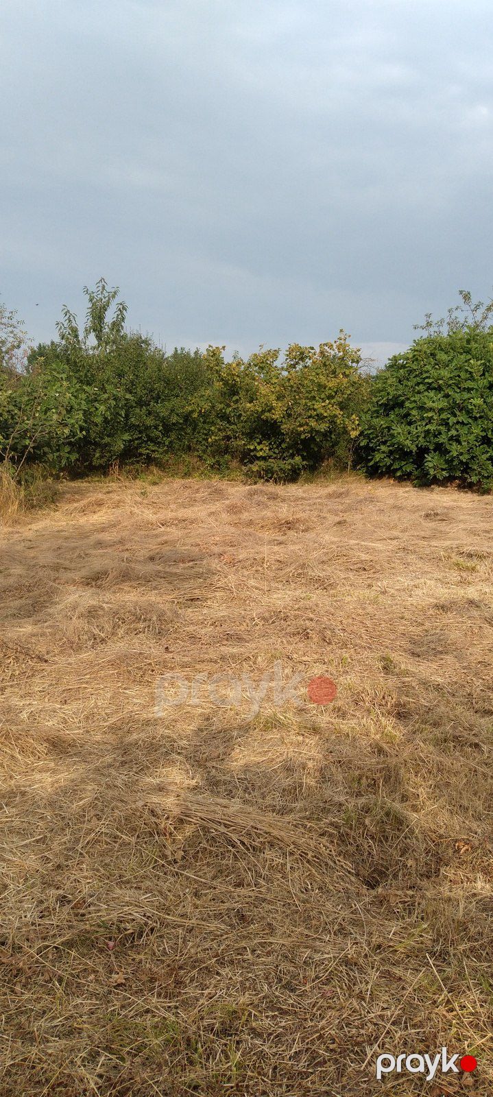 6 sot torpaq sahəsi, Quba r — Torpaq, Quba (2)