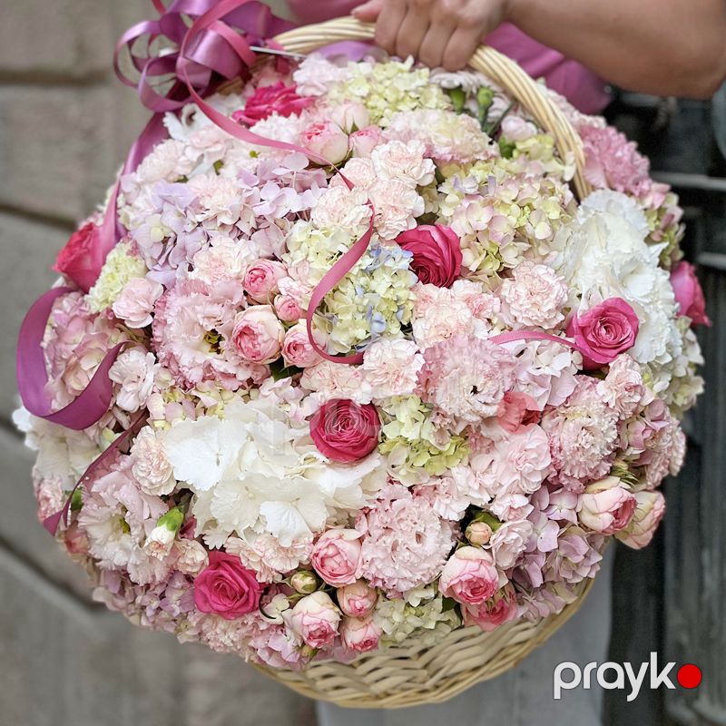 Gül Səbəti - code:8043 — Bitkilər, Bakı (2)