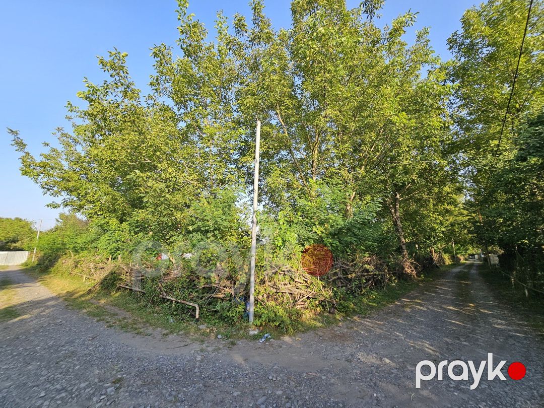 Satılır torpaq 32 sot — Torpaq, Qəbələ (2)