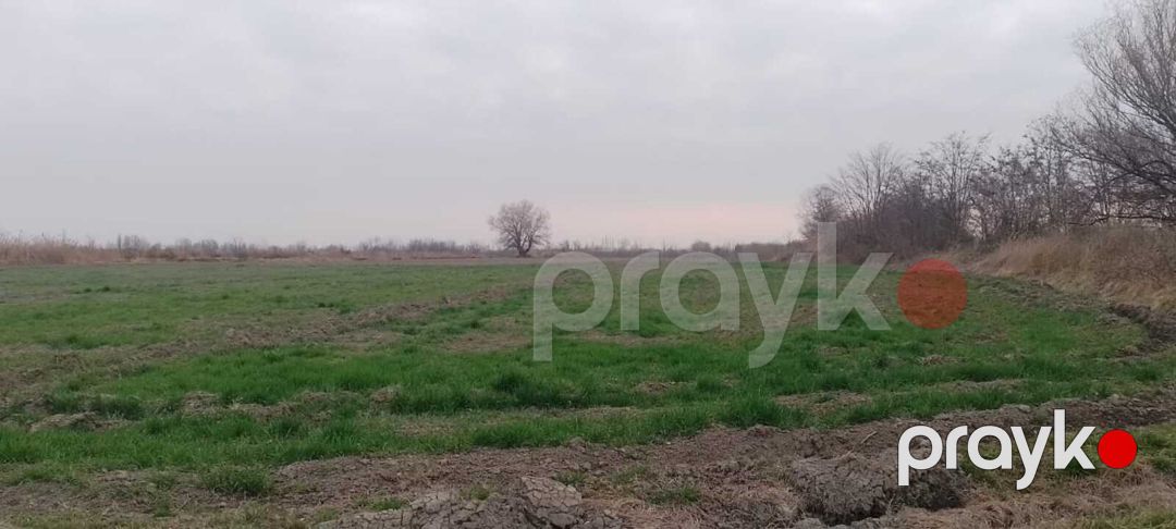 Satılır torpaq 440 sot — Torpaq, Xaçmaz (10)