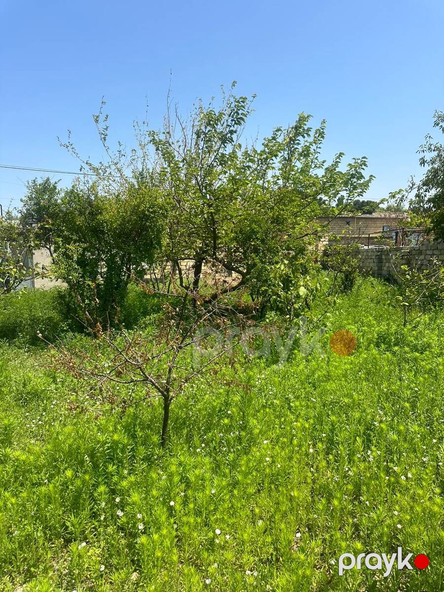 Satılır torpaq 3 sot — Torpaq, Bakı (3)