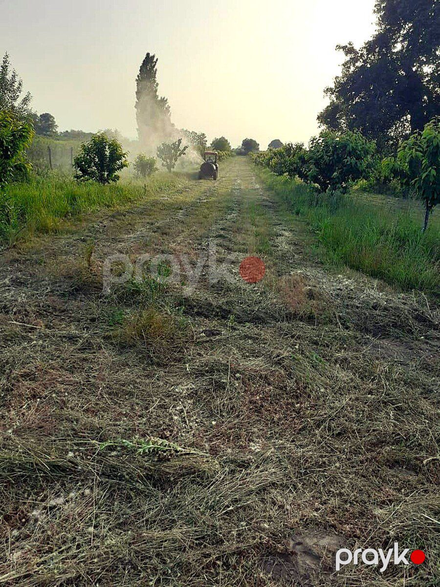 223.4 sot torpaq sahəsi, Qusar r — Torpaq, Qusar (10)