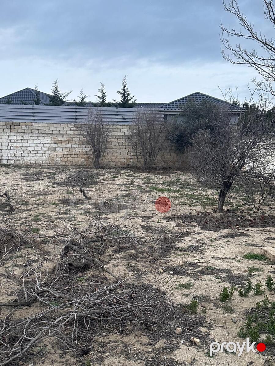 Satılır torpaq 3 sot — Torpaq, Bakı (3)