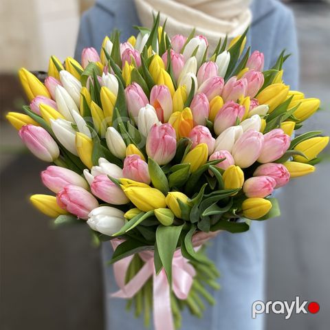 101 Tülpan - code:2052