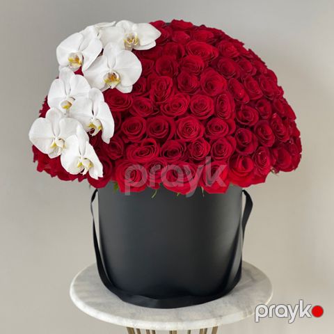 Qızılgül və Orxideya - code:5048