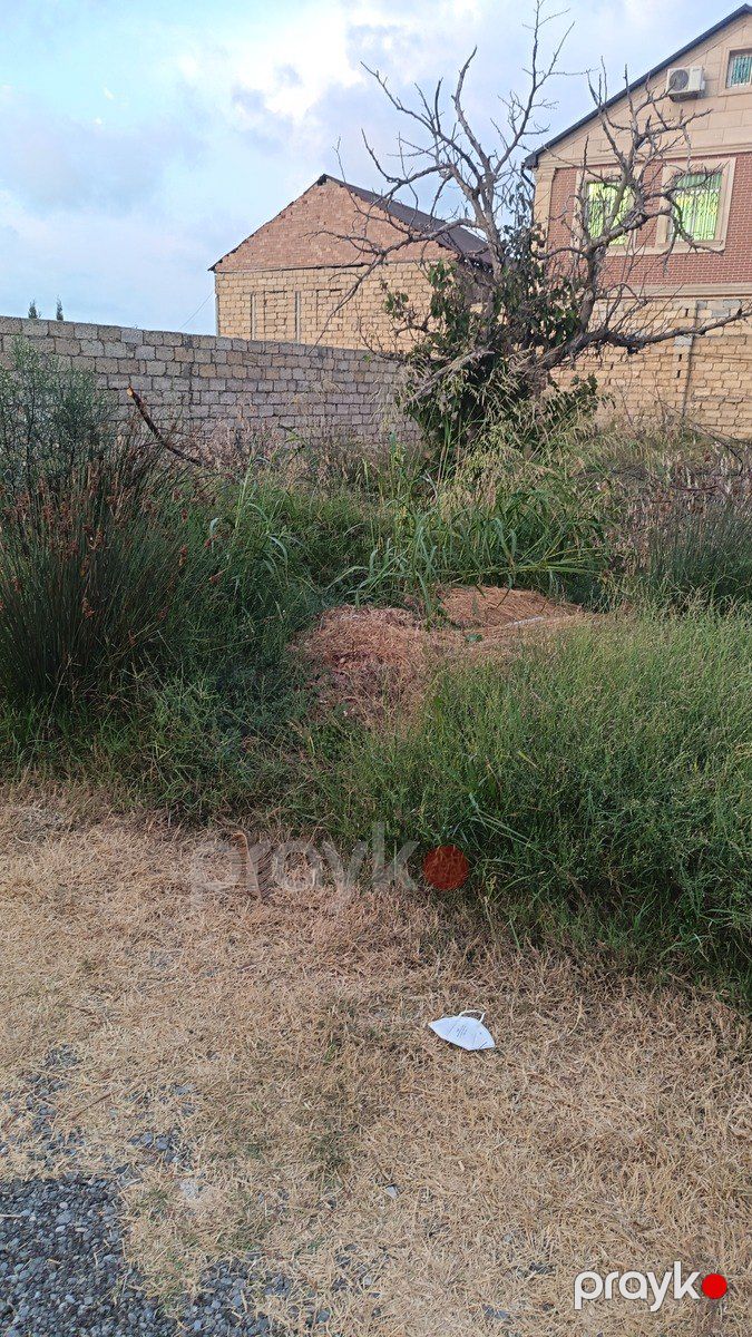 Satılır torpaq 5 sot — Torpaq, Bakı (5)