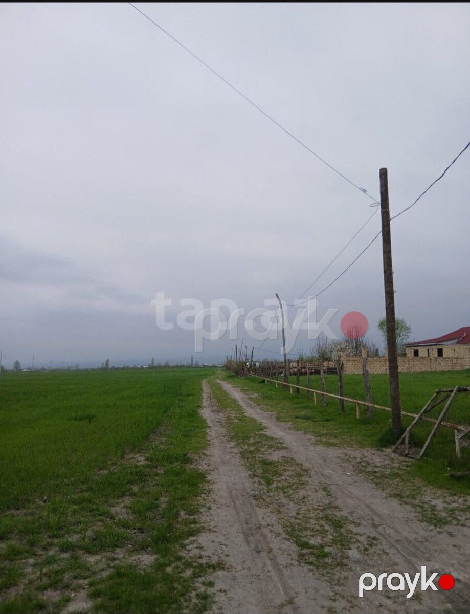 114 sot torpaq sahəsi, Qəbələ r — Torpaq, Qəbələ (8)