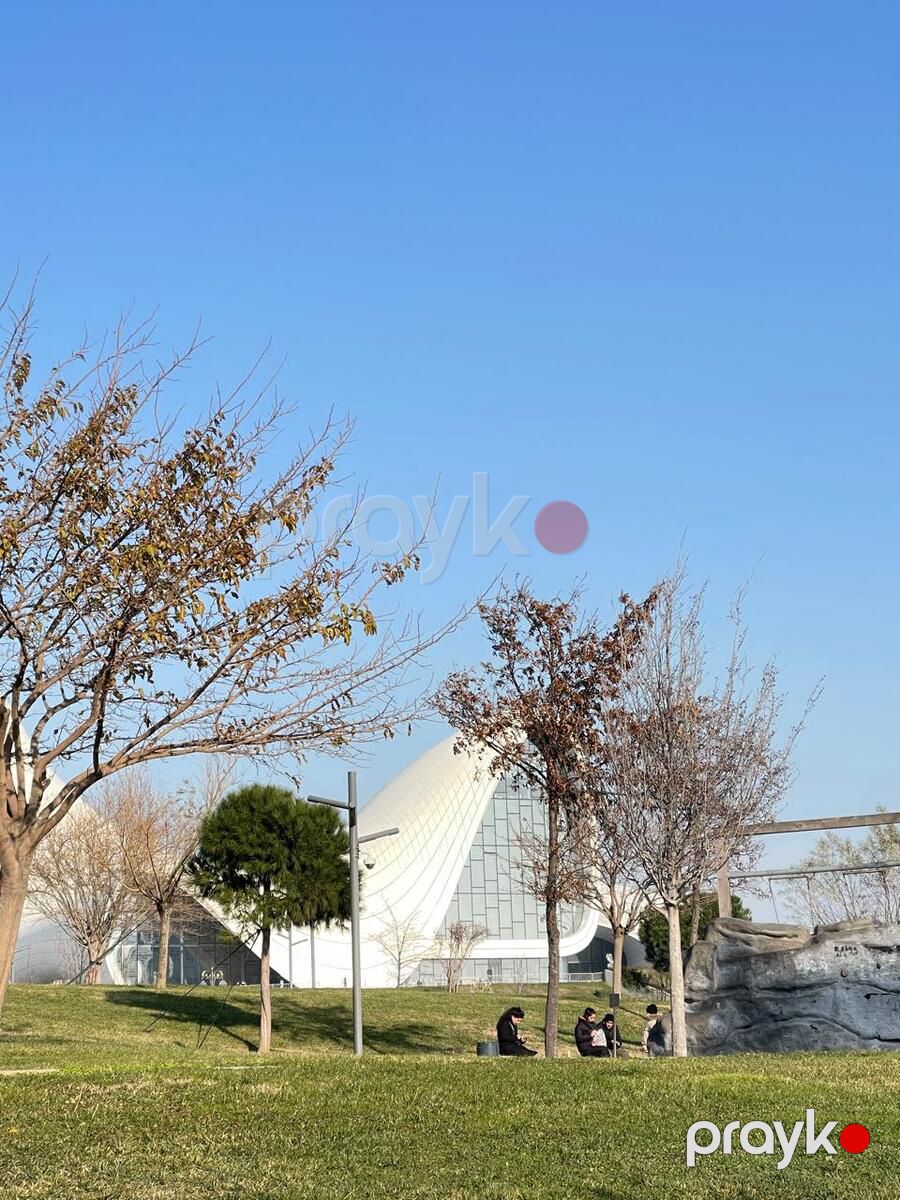 Satılır 4 otaqlı yeni tikili 265 m² — Mənzil, Bakı (8)