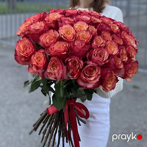 51 qırmızı-sarı qızılgül - kod 6060 — Bitkilər, Bakı (2)