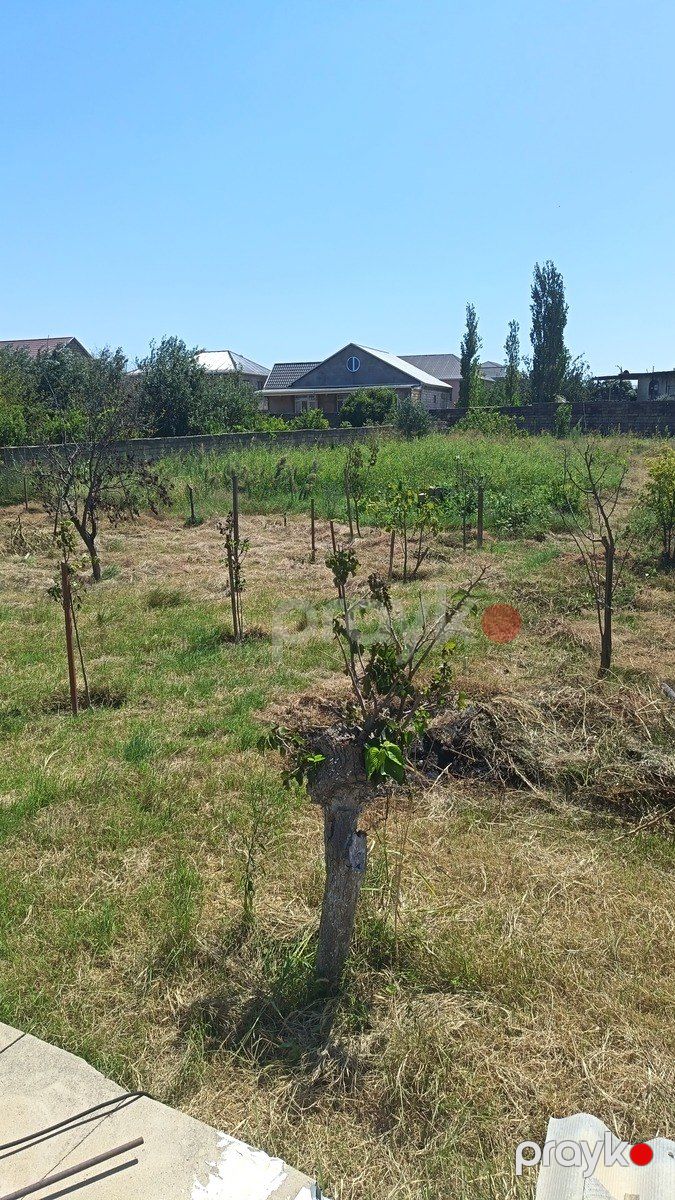 Satılır torpaq 5 sot — Torpaq, Bakı (5)