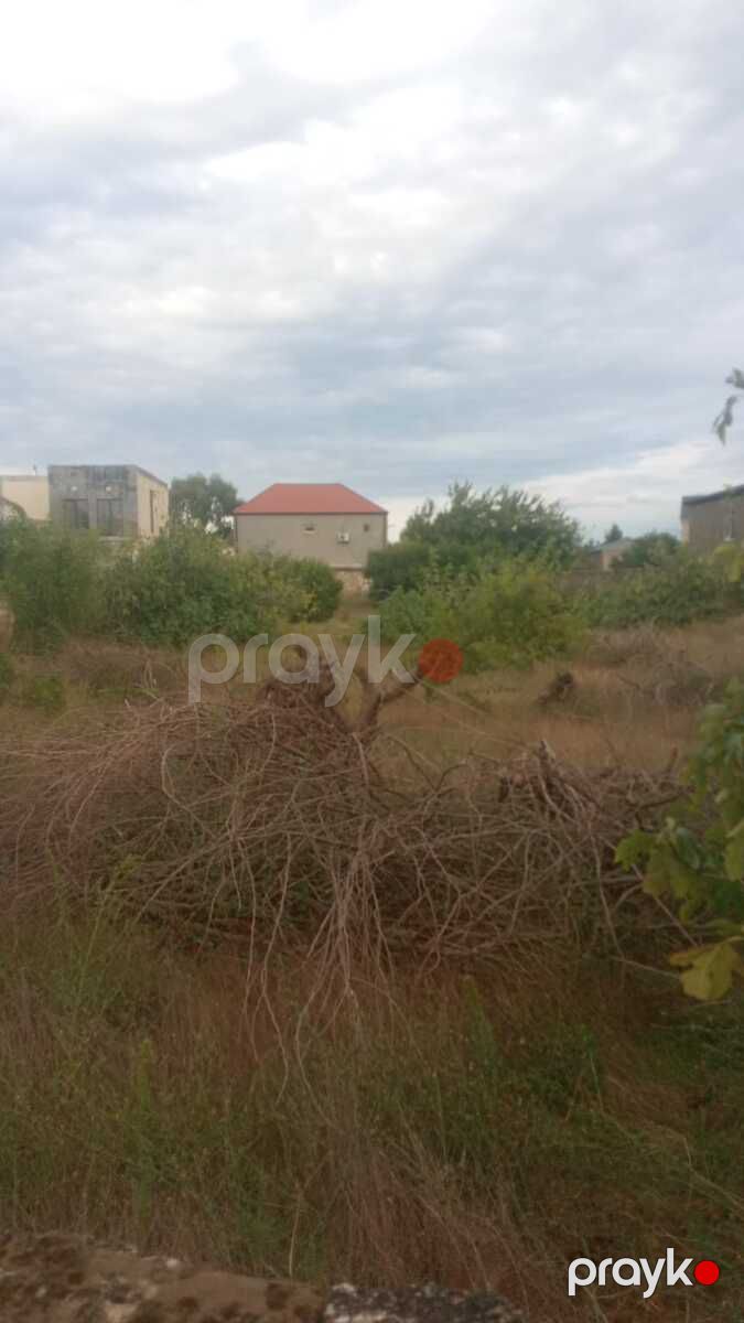 Satılır torpaq 22 sot — Torpaq, Bakı (2)