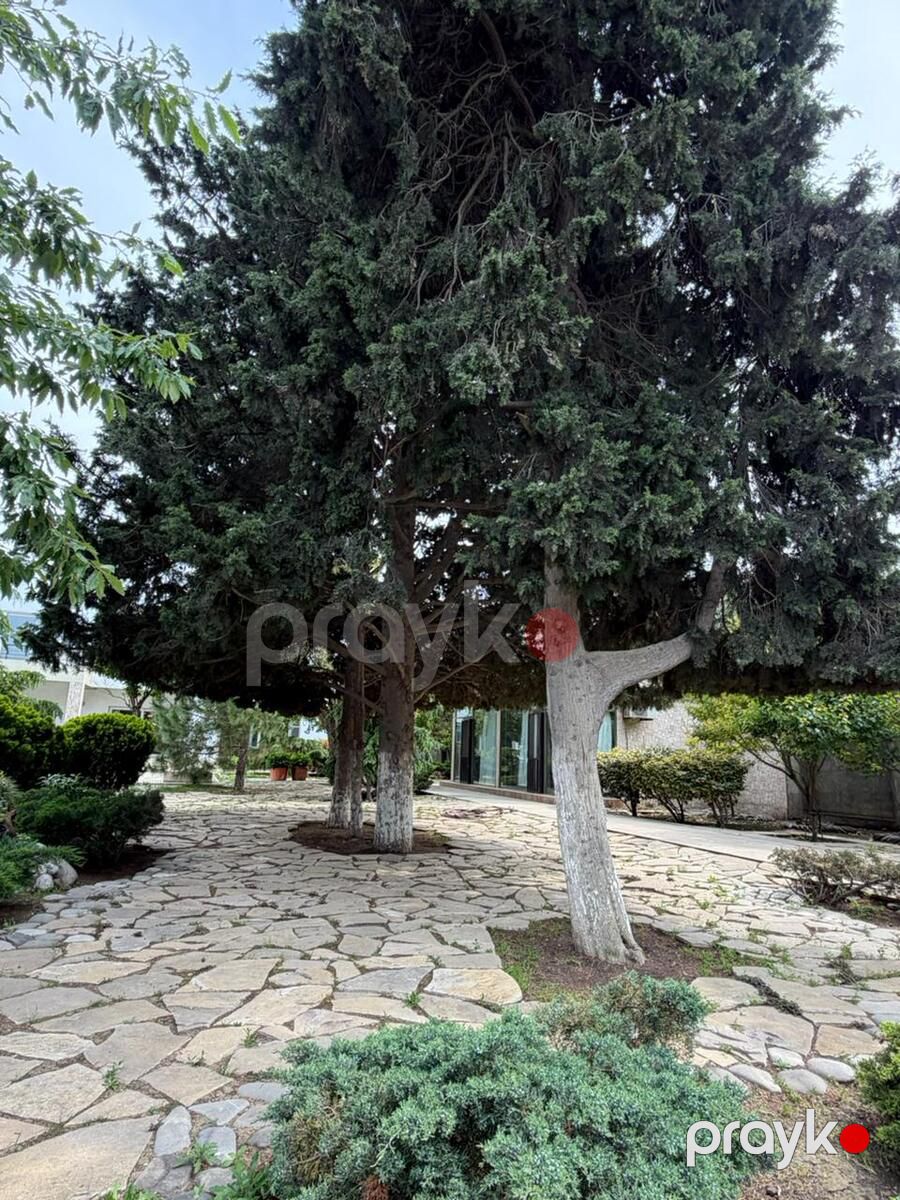 Satılır 6 otaqlı həyət evi/bağ evi 750 m² — Ev, villa, Bakı (11)