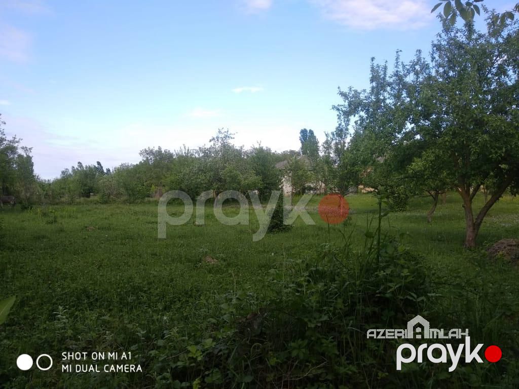 Satılır torpaq sahəsi Bilgəh qəsəbəsi Bilgəh qəsəbəsi, Keçmiş zəfəran savxozu — Torpaq, Bakı (3)